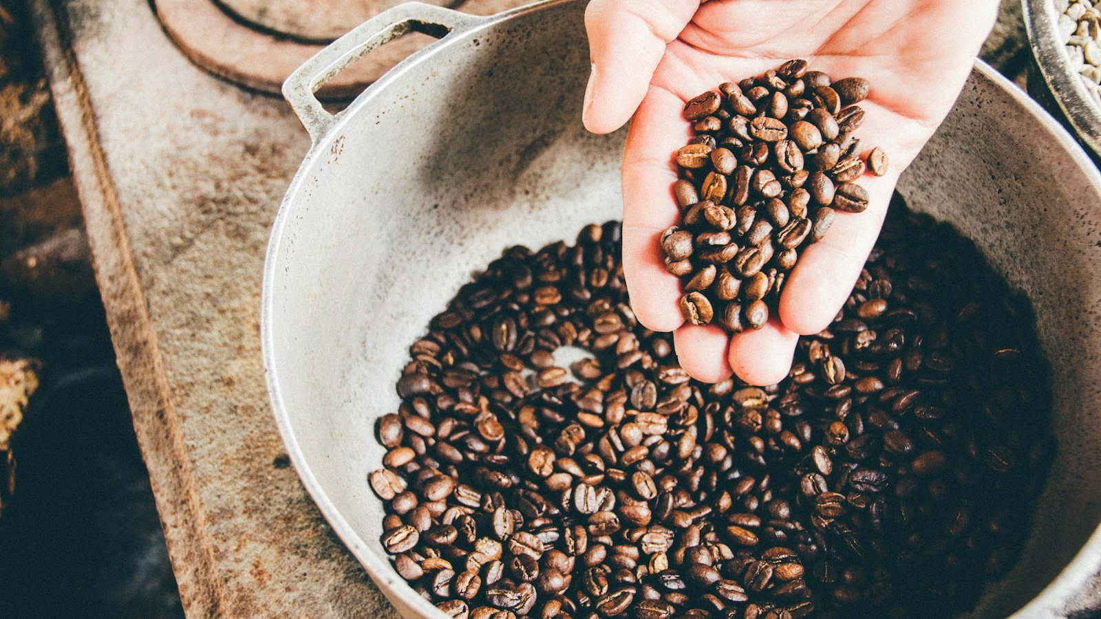 Hands holding roasted coffee beans