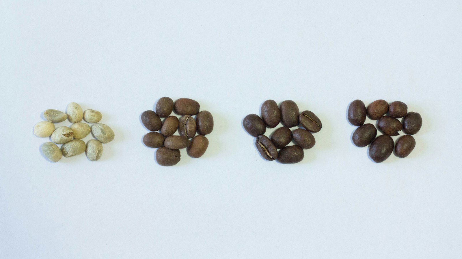 Coffee beans from green to dark roast